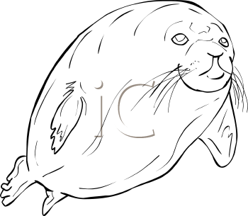 Mammal Clipart