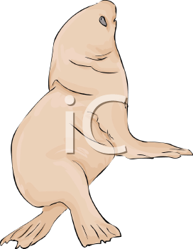 Fish and Sealife Clipart