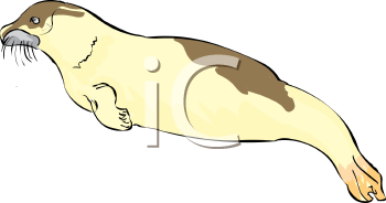 Fish and Sealife Clipart