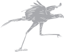 Bird Clipart