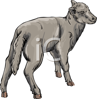 Farm Animal Clipart