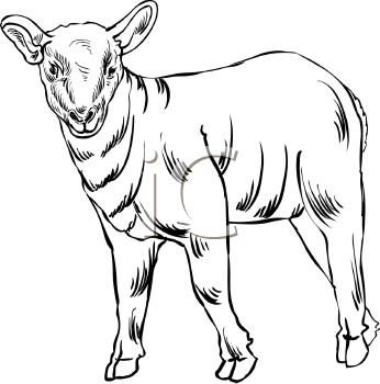 Free Clip Art Lamb. Royalty Free Sheep Clipart