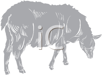 Farm Animal Clipart