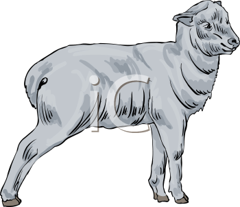 Farm Animal Clipart