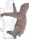 Mammal Clipart