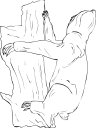 Mammal Clipart