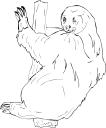 Mammal Clipart