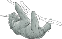 Mammal Clipart