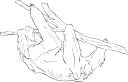 Mammal Clipart