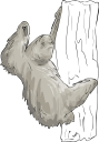 Mammal Clipart