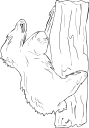 Mammal Clipart