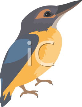 Bird Clipart