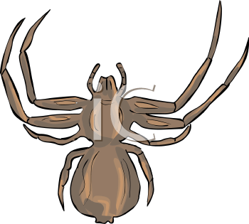 Arachnid Clipart