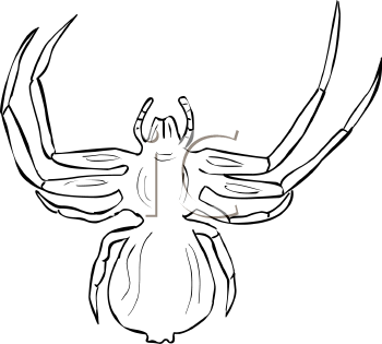 Arachnid Clipart