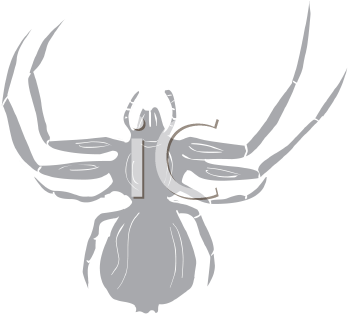 Arachnid Clipart