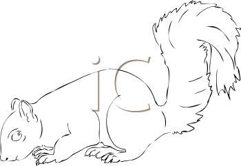 Rodent Clipart