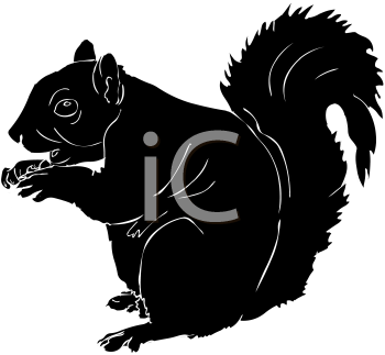 Rodent Clipart