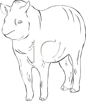 Mammal Clipart