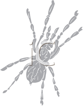 Arachnid Clipart