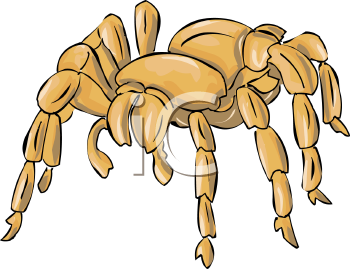 Arachnid Clipart