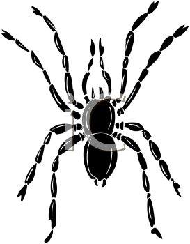 Arachnid Clipart