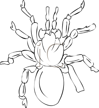Arachnid Clipart