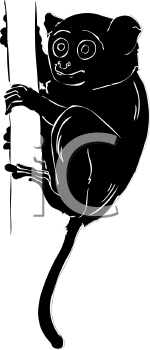 Primate Clipart