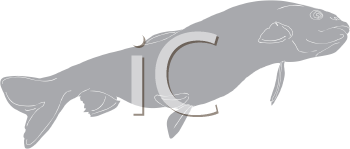 Fish and Sea Life Clipart