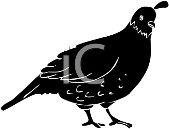 Farm Animal Clipart