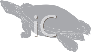 Reptile Clipart