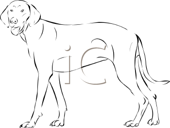 Pet Clipart