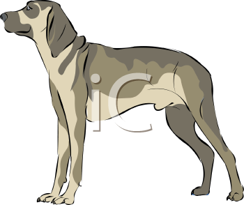 Pet Clipart