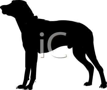 Pet Clipart