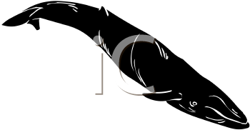 Fish and Sealife Clipart