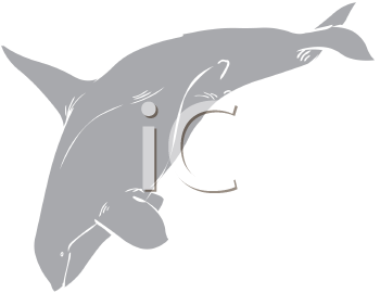Fish and Sealife Clipart