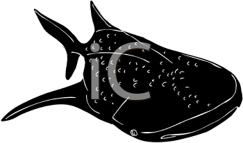 Fish and Sealife Clipart