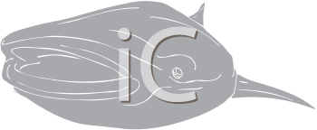 Fish and Sealife Clipart