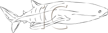 Fish and Sealife Clipart