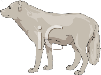 Pet Clipart