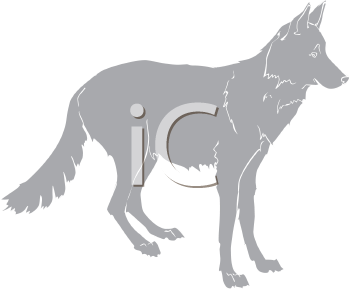 Pet Clipart