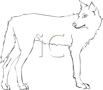 Pet Clipart