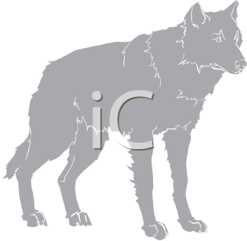 Pet Clipart