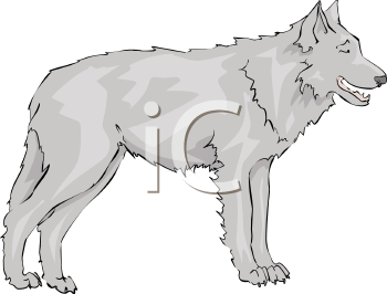 Pet Clipart