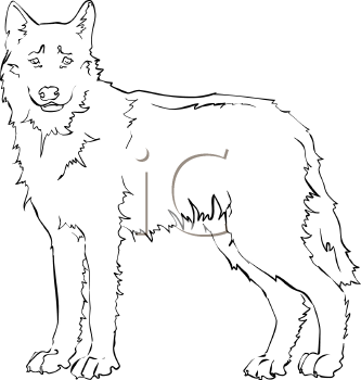 Pet Clipart