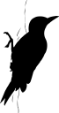 Bird Clipart