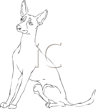 Pet Clipart