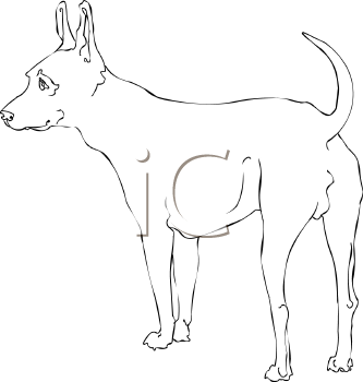 Pet Clipart