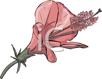 Royalty Free Hibiscus Clip art, Flower Clipart