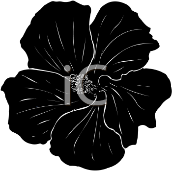 Royalty Free Hibiscus Clip art, Flower Clipart