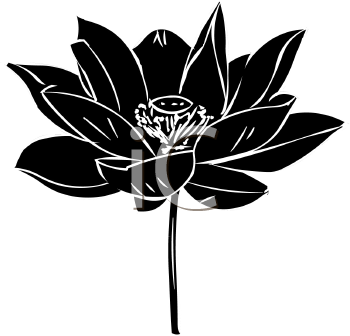 Royalty Free Lotus Clip art, Flower Clipart